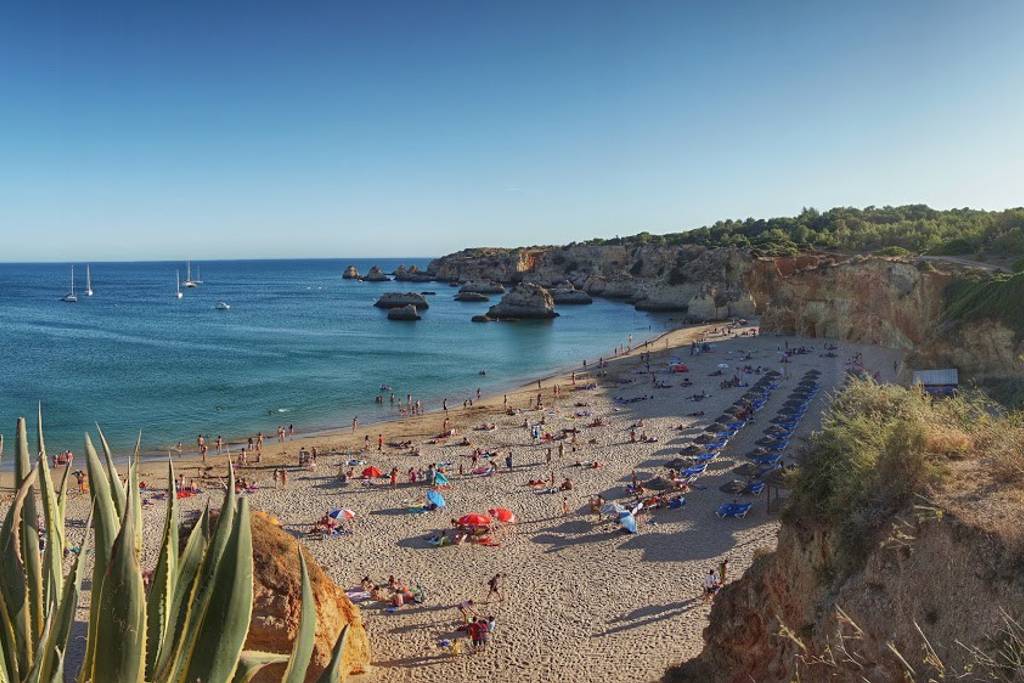 Local beach within walking distance 12b26